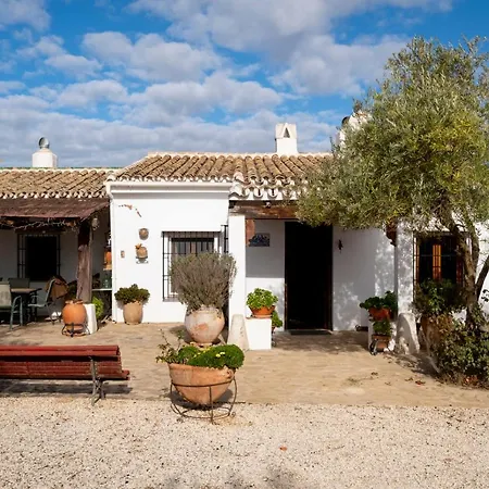 Nyaraló La Mejorana Refugio Andaluz Con Piscina Entre Olivos Villanueva de Tapia