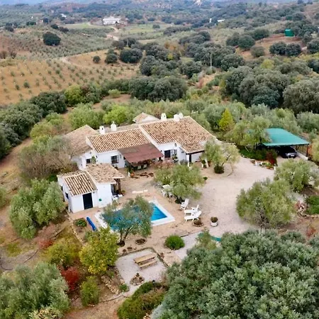 La Mejorana Refugio Andaluz Con Piscina Entre Olivos