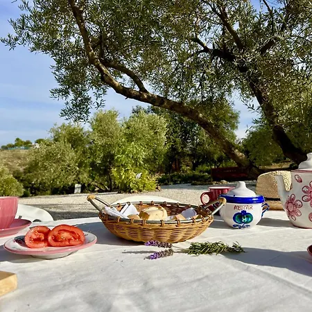 La Mejorana Refugio Andaluz Con Piscina Entre Olivos