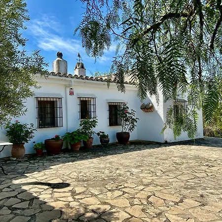 La Mejorana Refugio Andaluz Con Piscina Entre Olivos *