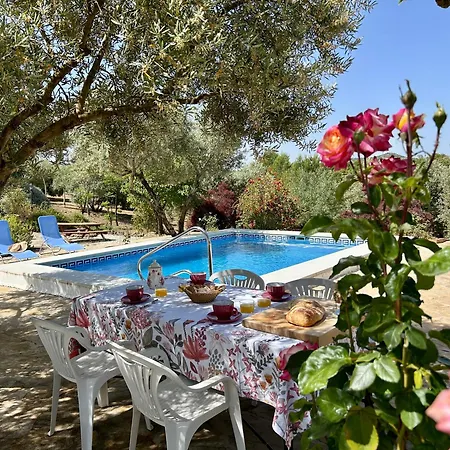 La Mejorana Refugio Andaluz Con Piscina Entre Olivos Nyaraló Villanueva de Tapia
